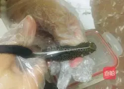 Illustration of soaking sea cucumber 4