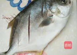 Illustration of steamed pomfret 1