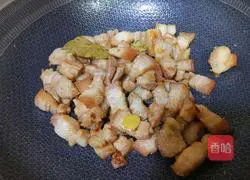 Illustration of Braised Pork Recipes 7