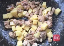 Curry Potato Braised Chicken Recipe Illustration 3