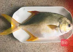 Illustration of braised golden pomfret 1