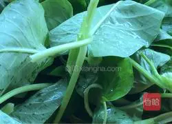 Illustration of how to make boiled chicken slices 3