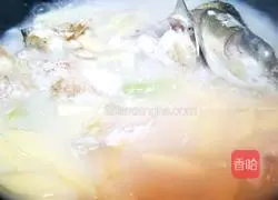 Illustration of how to eat two fish (Part 2) 6