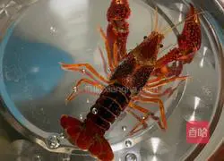 Illustration of how to make spicy crayfish 1