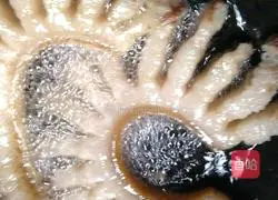 Illustration of how to make pork meat 3