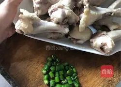 Illustration of Braised Duck Wing Root 2