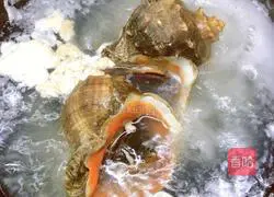 Illustration of how to make pepper conch 2