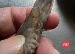 Illustration of Braised Prawns 3