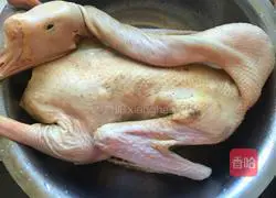 Illustration of how to stew goose in iron pot 1