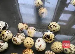 Illustration of how to make spiced quail eggs 3