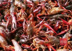 Illustration of how to make garlic lobster 1