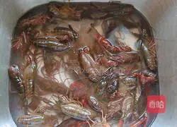 Illustration of how to make spicy crayfish 1