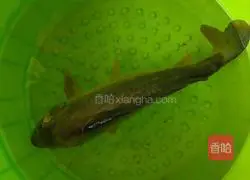 Illustration of how to make pickled fish 1