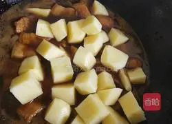 Illustration of oil-free braised pork 5