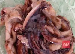 Illustration of how to fire squid 1