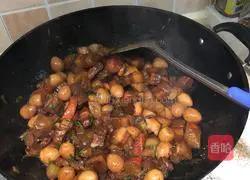 Braised Pork Recipe Illustration 12