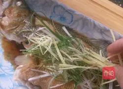 Illustration of steamed sea bass 19