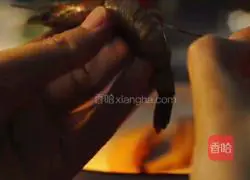 Shrimp cooking Illustration of what fans do 1