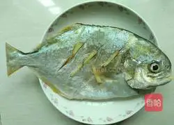 Steamed pomfret Illustration of how to cook fish 4