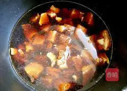 Illustration of home-style stewed beef brisket 5