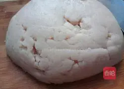 Illustration of how to make handmade fish balls 3