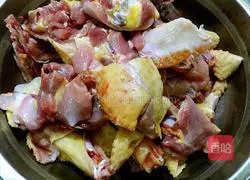 Illustration of braised chicken nuggets 2