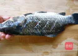 Crucia carp stuffed Illustration of how to make minced meat 2
