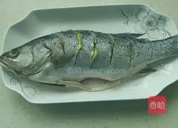Illustration of steamed sea fish 3