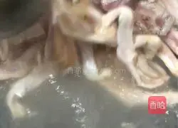 Recipe for Braised Pork Ribs with Duck Feet 2