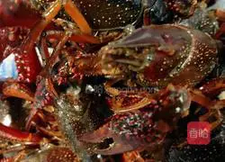 Illustration of braised prawns (crayfish) 3