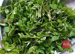 Illustration of how to make cold agarwood (bitter vine) 2