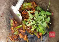 Illustration of how to make fried squid 14