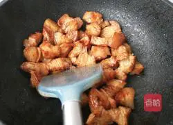 Illustration of how to make braised pork 5