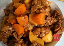 Illustration of duck leg stewed with potatoes and carrots 11