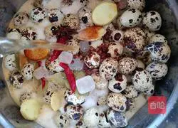 Illustration of how to make braised five-spice quail eggs 6