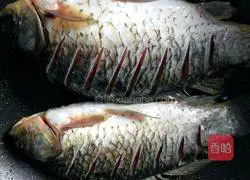 Illustration of braised crucian carp 8