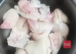 Illustration of home-style stewed pig's trotters 1