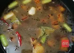 Illustration of how to make braised pork 6