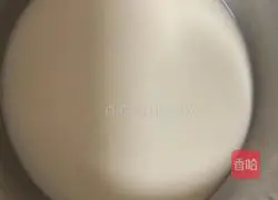 Illustration of how to make homemade fish balls 5