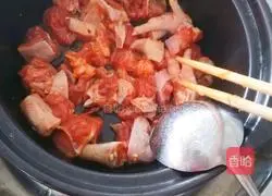 Braised Orleans Chicken Nuggets Illustration 8