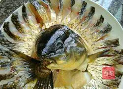 Illustration of how to make guppies 1