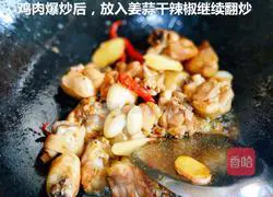 Illustration of Braised Chicken 2