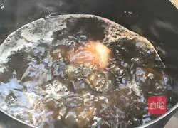 Illustration of homemade meat floss 6