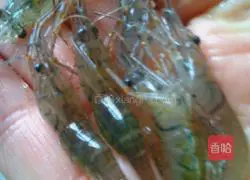 Crispy Shrimp Illustration of how to do it 1