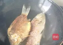 Illustration of braised crucian carp with tofu 4