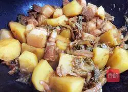 Illustration of braised pork, stewed potatoes and sauerkraut 10