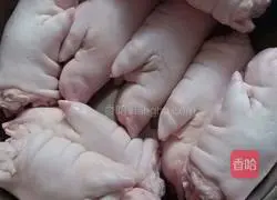 Illustration of braised pig trotters 1