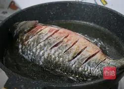 Exclusive Braised Crucian Carp Recipe Illustration 2