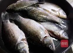 Illustration of how to cook crucian carp 2