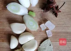 Illustration of home-cooked braised pork 3